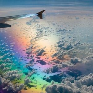 Meet your Posher, Daisy